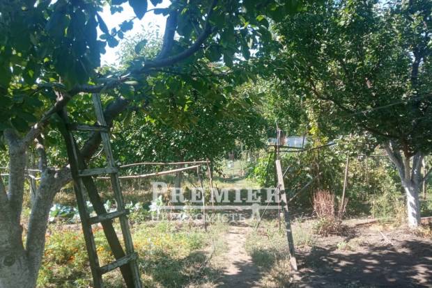 Фото об'єкта