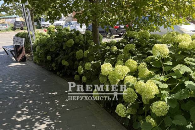 Фото об'єкта