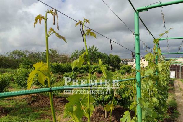 Фото об'єкта