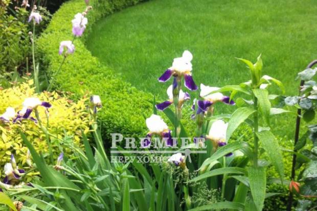 Фото об'єкта