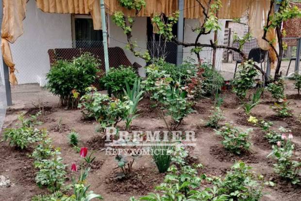 Фото об'єкта