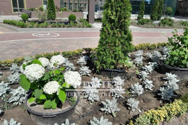 Фото объекта