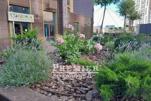 Фото объекта