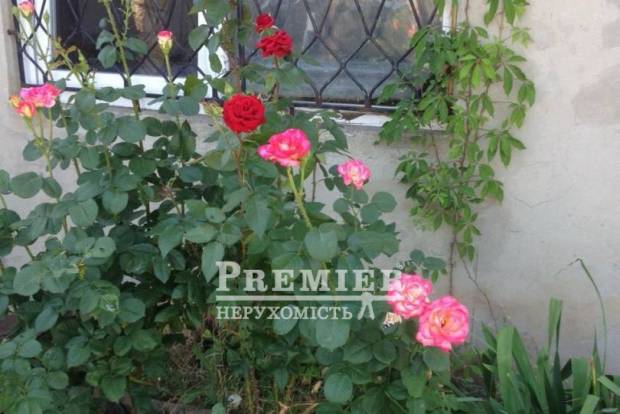 Фото об'єкта