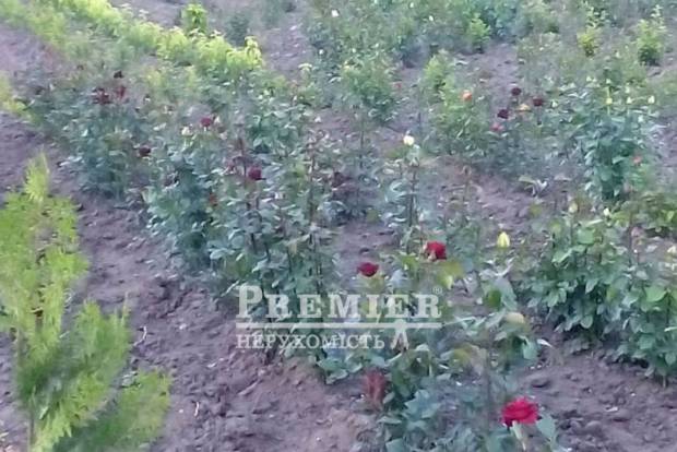 Фото об'єкта
