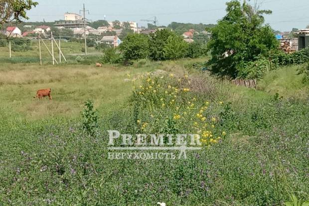 Фото об'єкта