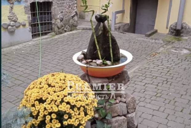 Фото об'єкта