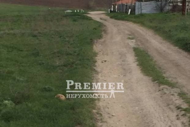 Фото об'єкта