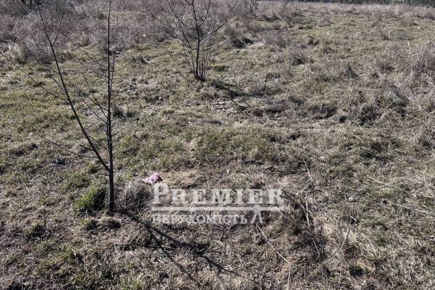 Фото об'єкта