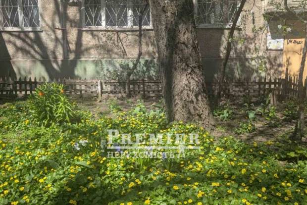 Фото об'єкта