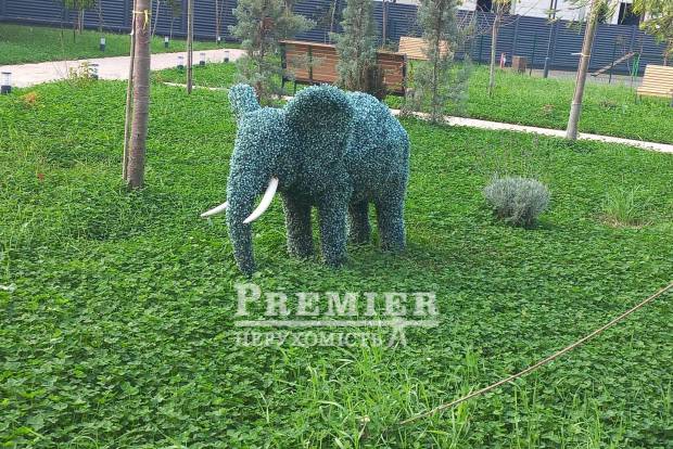 Фото объекта