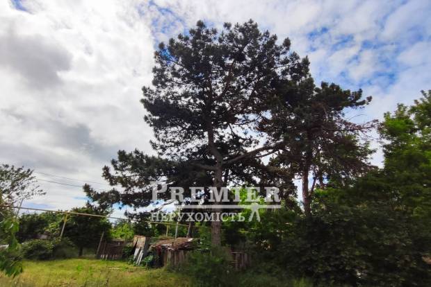 Фото об'єкта