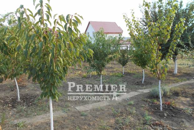 Фото об'єкта