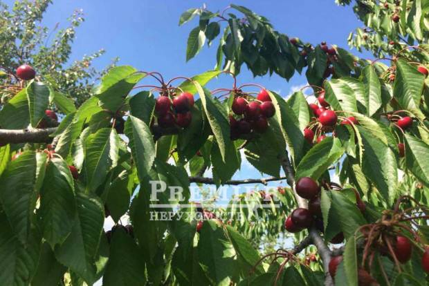 Фото объекта