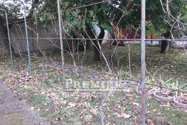 Фото об'єкта