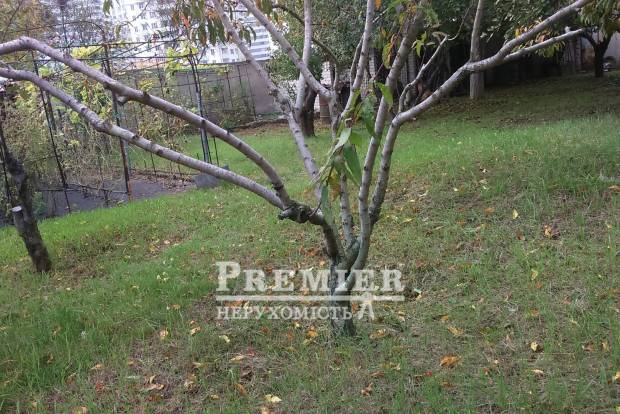 Фото об'єкта