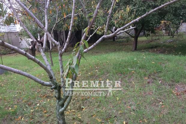 Фото об'єкта