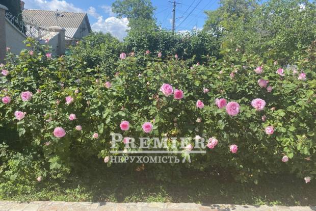 Фото об'єкта