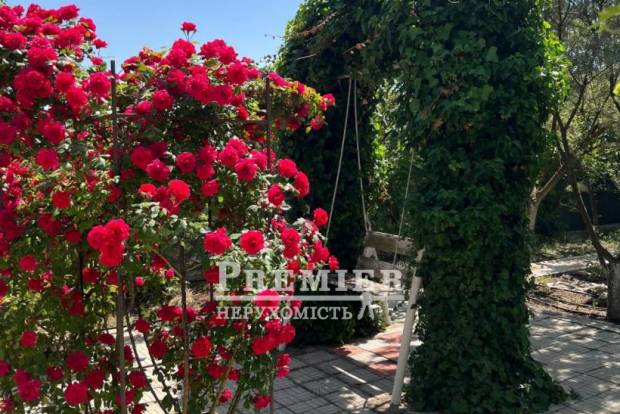Фото об'єкта