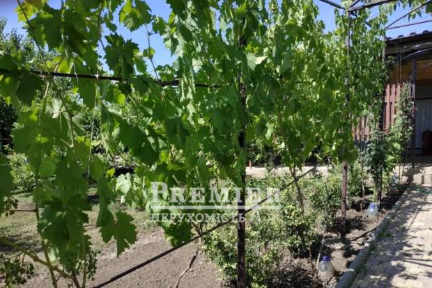 Фото об'єкта