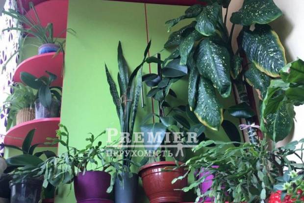 Фото об'єкта