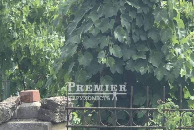 Фото об'єкта