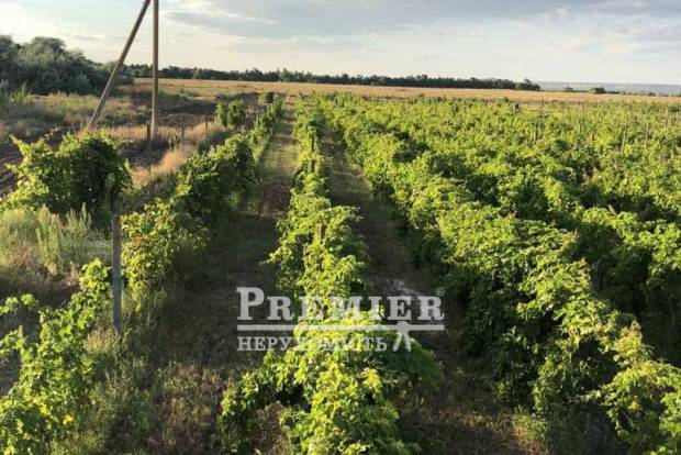 Фото об'єкта