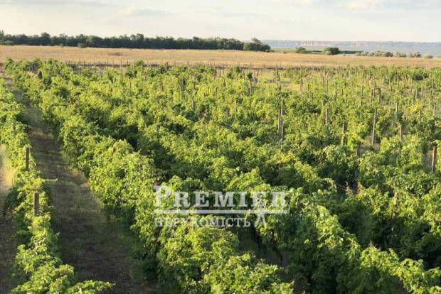 Фото об'єкта