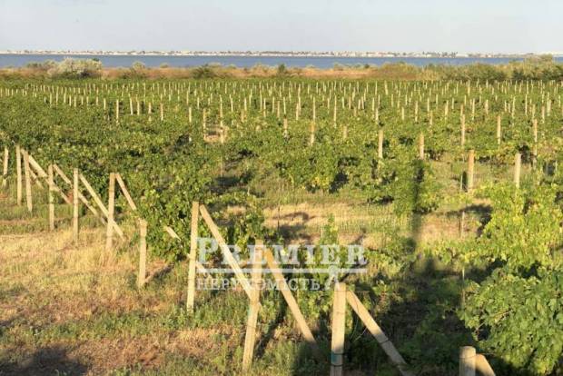 Фото об'єкта