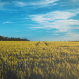 Зем. участки